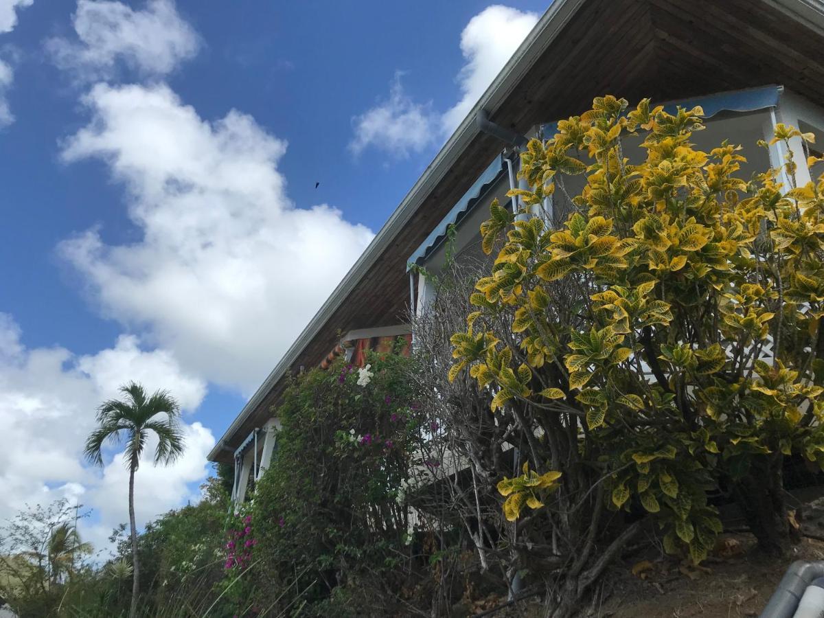 Belfond-Tropical Apartman Sainte-Anne Kültér fotó